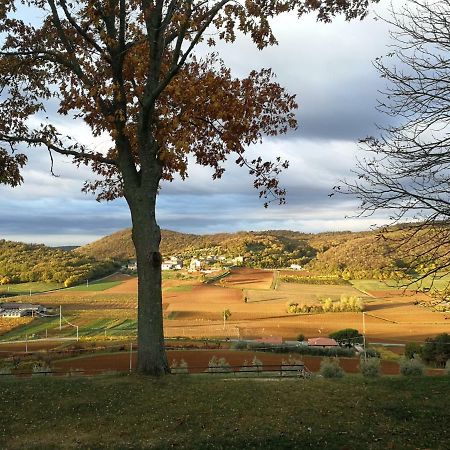 Paglia E Fieno Bed & Breakfast Villaga Bagian luar foto
