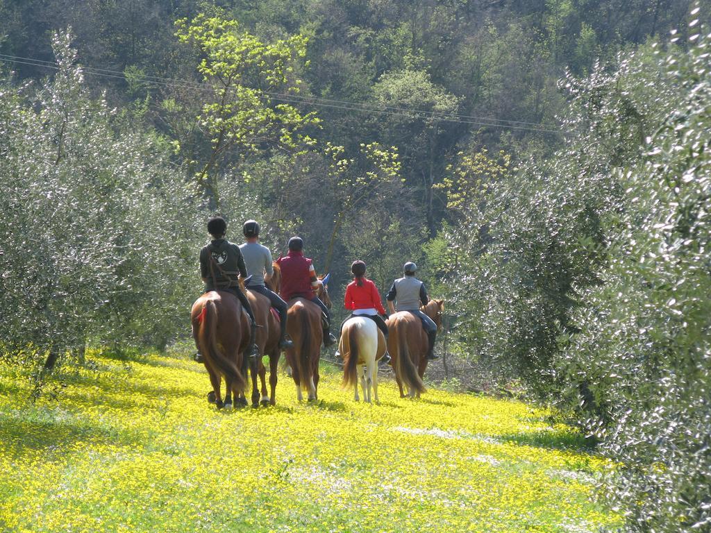 Paglia E Fieno Bed & Breakfast Villaga Bagian luar foto