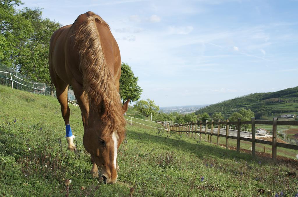 Paglia E Fieno Bed & Breakfast Villaga Bagian luar foto