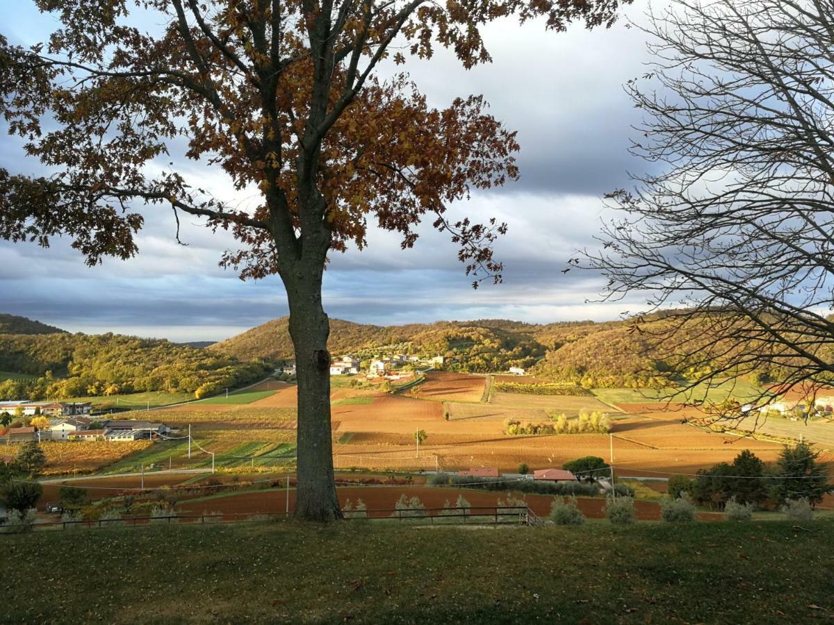 Paglia E Fieno Bed & Breakfast Villaga Bagian luar foto