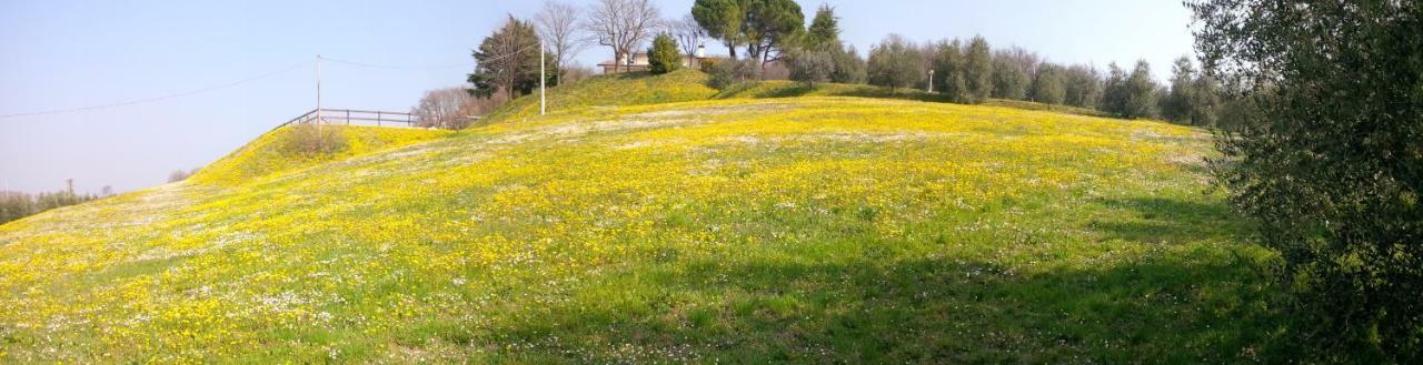 Paglia E Fieno Bed & Breakfast Villaga Bagian luar foto